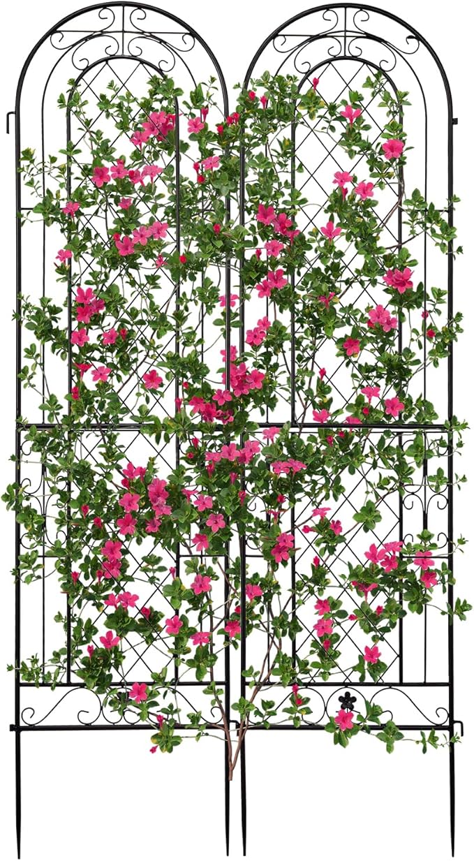 EEBABUO 2-Pack Rustproof Iron Garden Trellis for Climbing Plants - 16x61 Inch Sturdy Metal Plant Support with Arched Design &amp Easy Installation (Black)