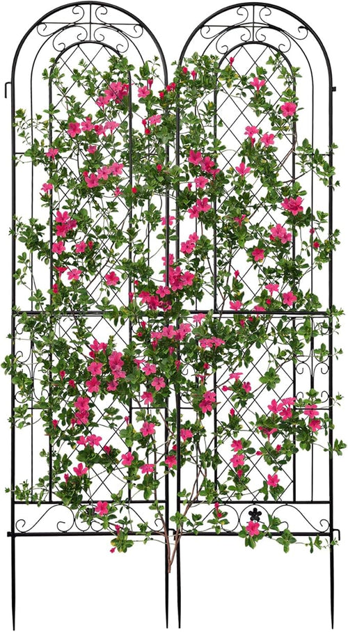 2 Pack Iron Arch Decoration Garden Trellis with Black Metal CoatingPerfect for Supporting Climbing Plants Outdoor Roses Vines Flowers and Vegetables