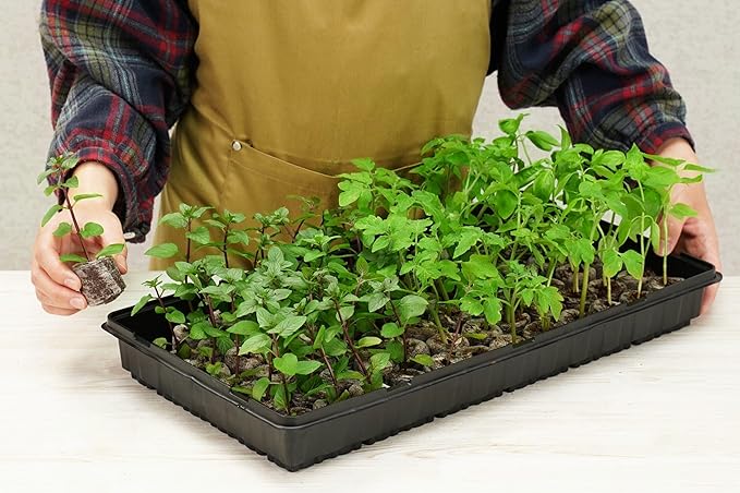 72 Coconut Coir Pellet Seed Starting Greenhouse Kit – 35mm Peat-Free Pellets All-in-One Seed Starter Tray with Humidity Dome Sustainable Indoor Germination