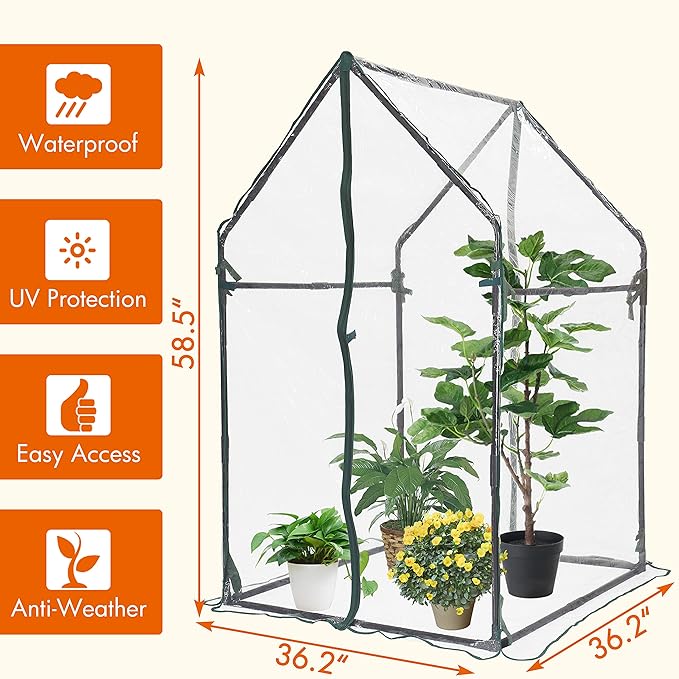 Gardzen Mini Greenhouse Heavy Duty Portable Green House Clear Tent Small Greenhouse for Indoor Outdoor Plants 36.2”(L) x36.2”(W) x59.5”(H)