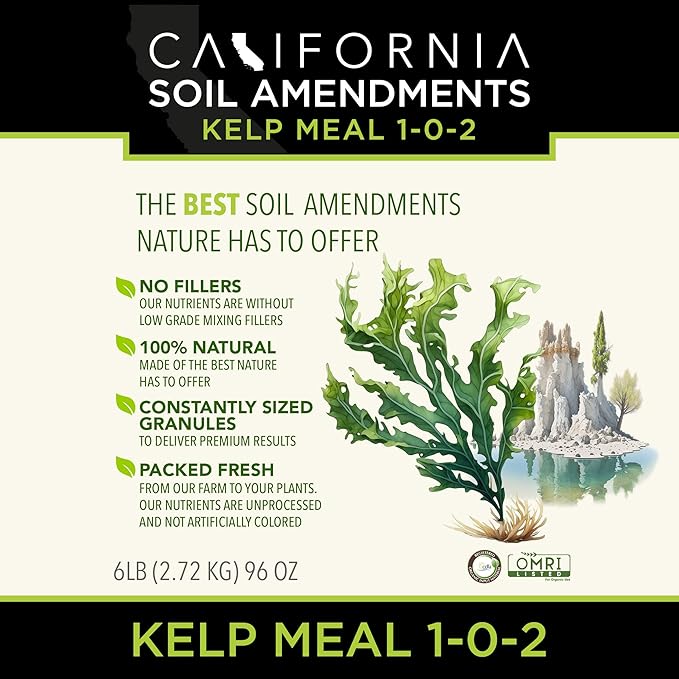 The Bud Grower | California Hot Soil Premium Kelp Meal | 6 lbs of Fine Powder 100% Organic Kelp Meal | All-in-One Grow Tent Kit's &amp Supplies