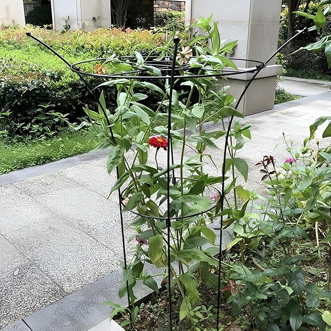 Peony Cage Plant Support Metal Garden Trellis for Climbing Plants Decoration Gardening Trellis for Pot Plant Vegetables Vines Flowers Anti-Rust(78x36cm/30.7x14.2in)
