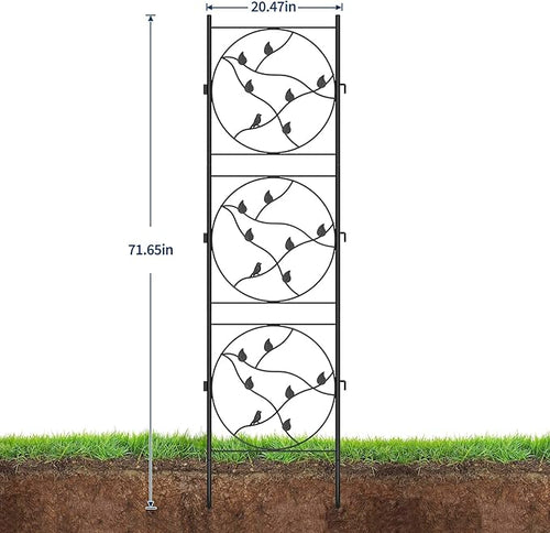 2 Packs Metal Garden Trellis for Climbing Plants Outdoor-Durable Iron Plant Trellis for Flowers Tomato Cucumber Rose Vegetable Support &amp Garden Decoration