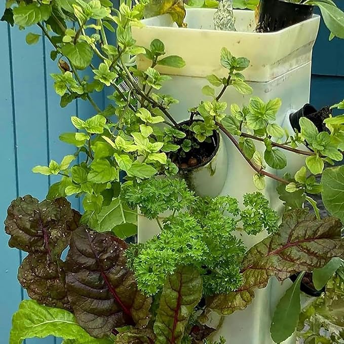 Hydroponic Tower for Garden Pot of 12/16/20/24 Holes Hydroponic Culture Moisturizing Pump + Timer + Adapter for Herbal Network Pots