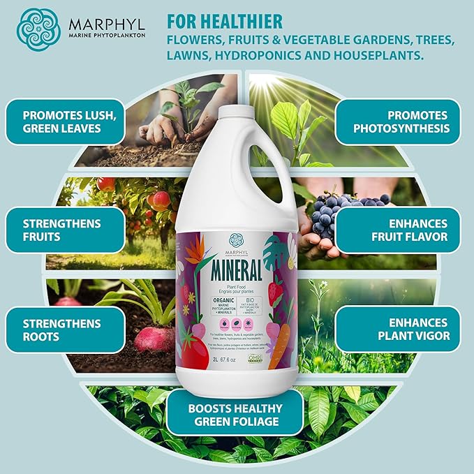MARPHYL Organic Minerals Liquid Fertilizer – Essential Trace Mineral Blend for Healthy Plant Growth Improves Nutrient Uptake for Garden Flowers Vegetables Succulents &amp Hydroponics