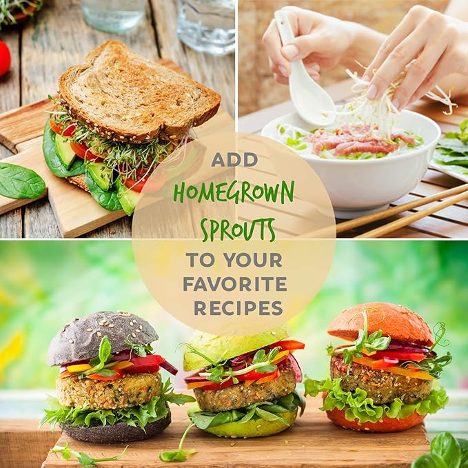 Deluxe Sprouting Jar Lid Kit With Seeds | Includes Half Gallon Jar 316 Stainless Sprouting Ring With Mesh Strainer Sprouting Stand And Handy Pantry Sprouting Seeds