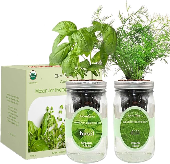 2-Pack Hydroponic Mason Jar Herb Garden Kit Indoor Herb Garden Self-Watering Starter Kit (BasilDill)