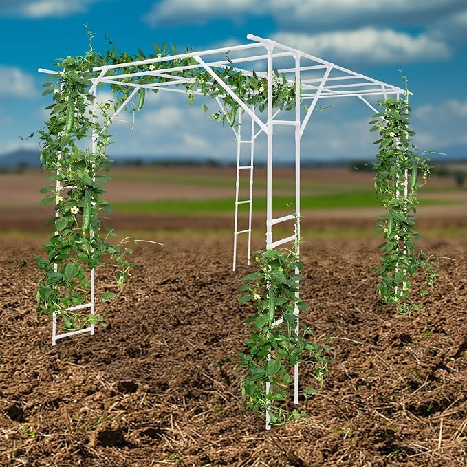 118'' L x 78.5'' W x 90.5'' H Large Outdoor Garden Arch Trellis for Climbing Plants Grape Arbor Rack Pergola Plastic-Coated Steel Cane Frame for Courtyard and Garden Decoration of Pavilions (White)