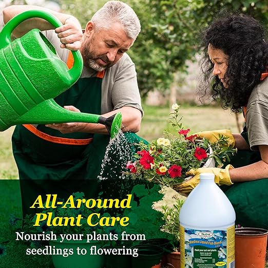 Medina Liquid Fish Blend Quart - 2-3-2 Fertilizer for GRO Bloom and Lush Gardens - Seaweed Enriched Plant Food for Vibrant Growth and Blooms - Available in 1 Gallon