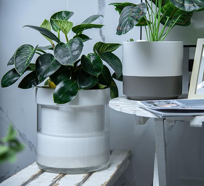 Phoenix Vine 10 Inch Self Watering Planter White Terracotta Clay Pot with Glass Reservoir for Indoor Plants Herbs Flowers Set of 1 52-B-I-1