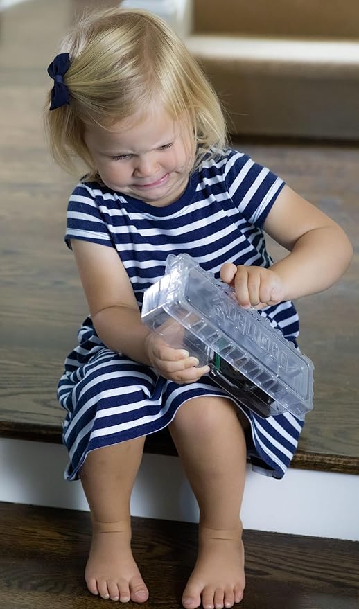 DoomBox™ Clear Enclosed Mouse Trap | Highly Effective and Keeps The Mess with The Mouse | Patented Click-It™ Closure Technology | Safe for Kids &amp Pets | Certified Child Resistant | Made in USA (10