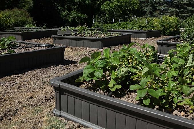 LIFETIME 60065 Raised Garden Bed 4 by 4 Feet 1 Bed