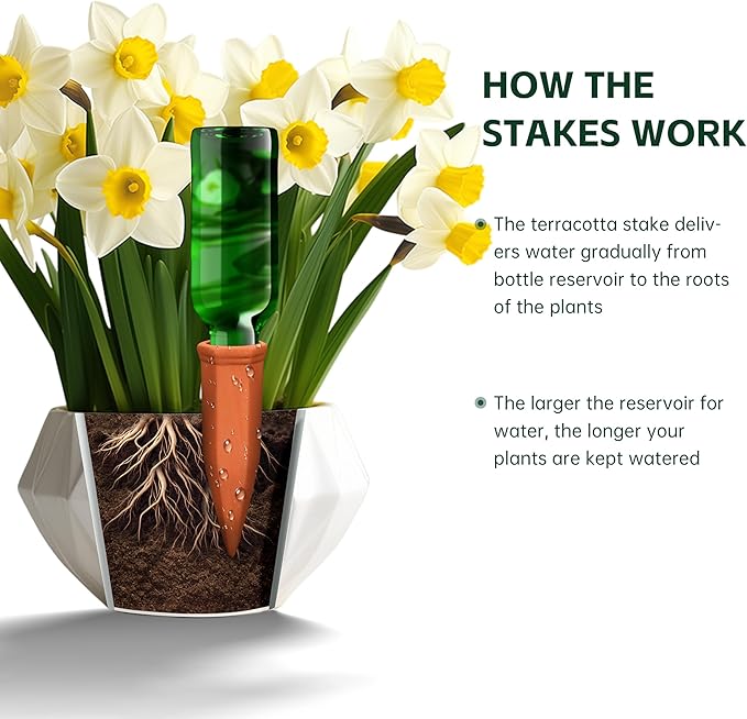 Large Terracotta Watering Spikes with Lids Automatic Plant Waterer Outdoor | Indoor Vacation Friendly Clay Plant Watering Devices System Slow Release Self Watering Planter Insert 6 Pack