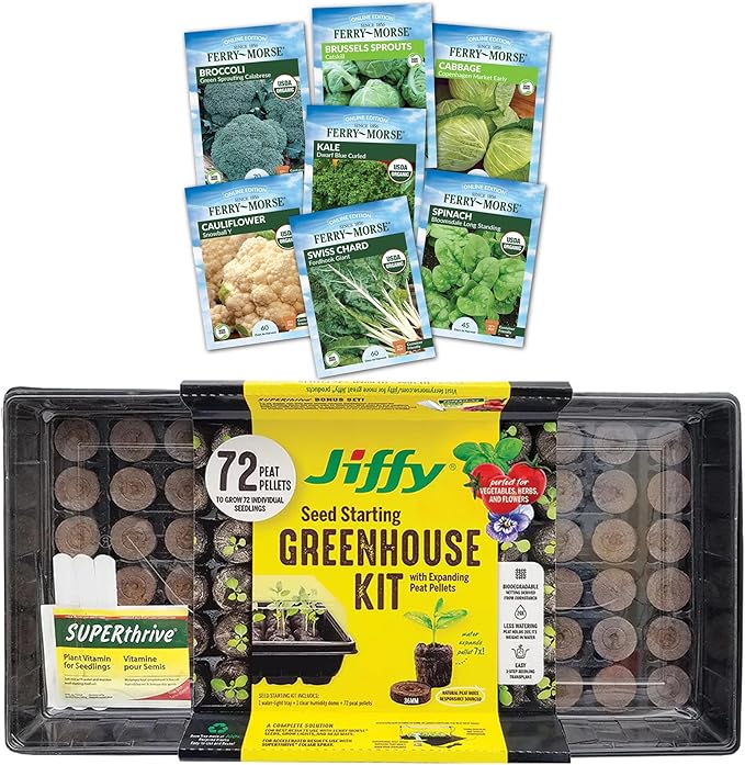 Jiffy Plant Germination Kit - Greenhouse Starter Kit Lightweight GMO Free - 72 Cell 2 Pack - Peat/Plastic