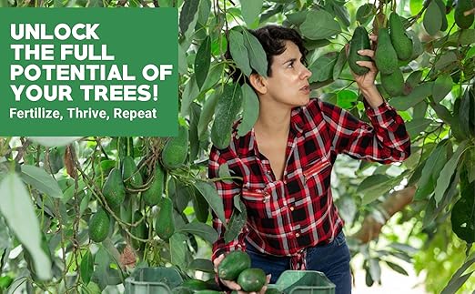 6-4-6 Avocado and Citrus Tree Professional Fertilizer &amp Organic Avocado Tree Soil Bundle - Quick Release Nitrogen Fertilizer Indoor Outdoor Gardening &amp 100% Natural Ingredients (4-3 Quart)