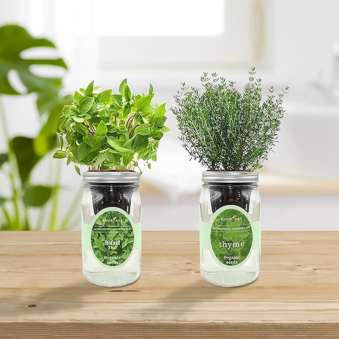 2-Pack Hydroponic Mason Jar Herb Garden Kit Indoor Herb Garden Self-Watering Starter Kit New Christmas Gift for Mom (ThymeThai Basil)