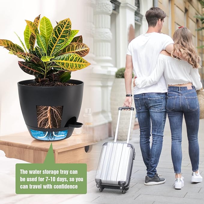 Large Self Watering Pots 12/10/9 Plastic Planters with High Drainage Holes and Deep Reservoir for Indoor Outdoor Garden Plants and Flowers Black