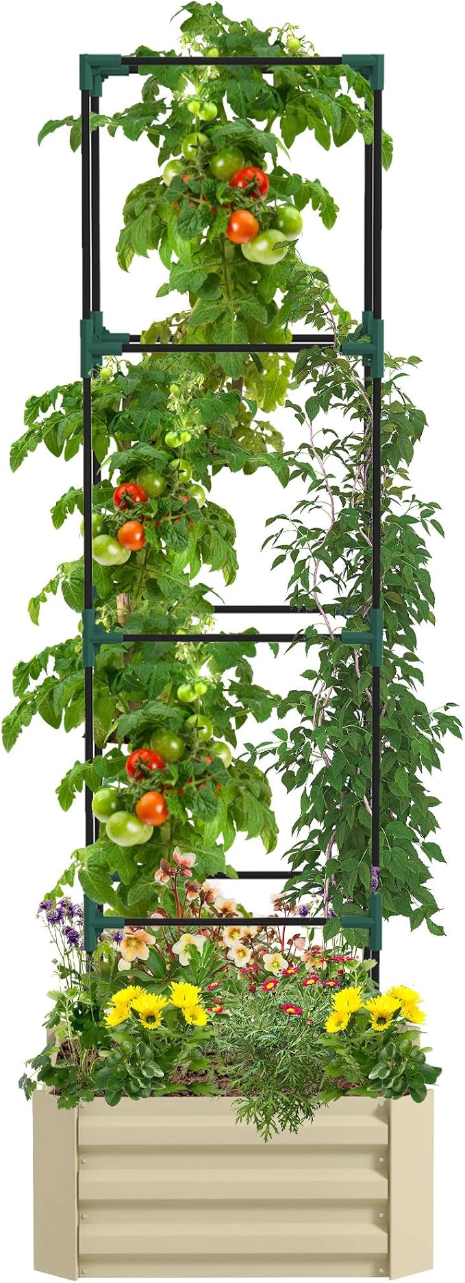 Galvanized Steel Raised Garden Bed 24x24x11.75 - Trellis Tomato Cage Draining Bottomed Planter for Vegetables Flowers | Outdoor Patio Garden