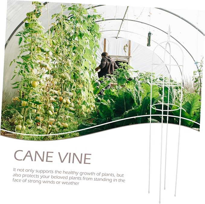 Moss Pole for Plants Small Plant Trellis for Pots Pea Trellis for Garden Creative Vine Climbing Support Rack