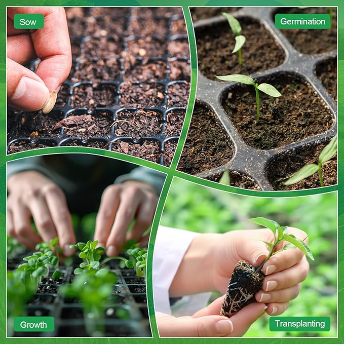 Vesici 60 Pack Seed Starter Trays and 72-Cell Plug Trays Sturdy Plastic Seedling Nursery Bundle for Microgreens 1020 Tray Germination Plant Propagation and Seed Starting &amp Transplanting
