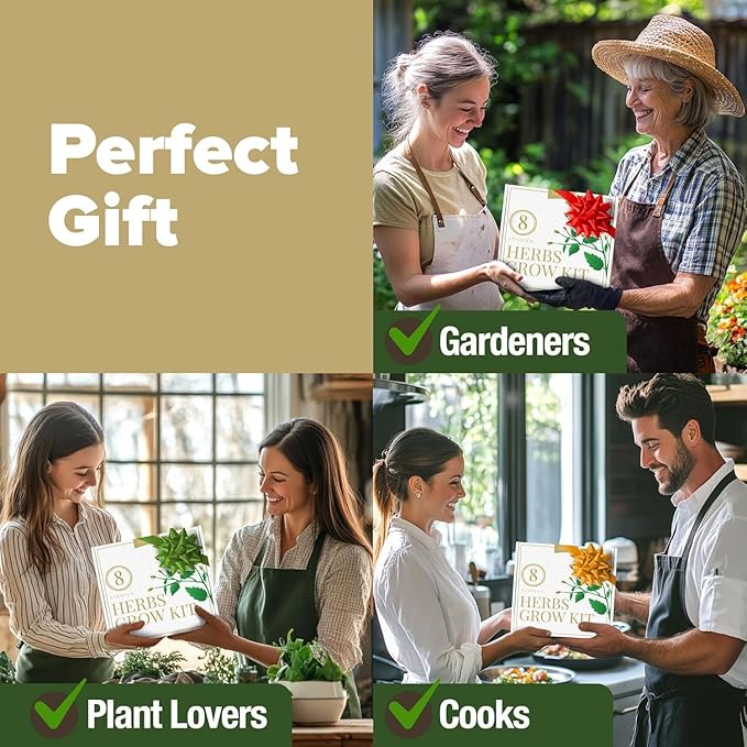 HOME GROWN Gift Herb Kit – 8 Herb Seeds Set with Basil Cilantro Mint &amp More Complete Indoor Grow Kit for Kitchen Gardening Gifts for Women &amp Men Ideal for Cooking &amp Home Décor