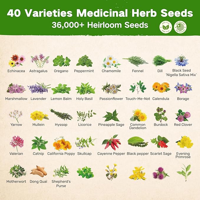Lush&ampDew Ancestral Apothecary Medicinal Tea Herb Seed Chest 36000+ Non-GMO Survival Seed Kit Gardening Gifts for Women Men 40 Types Heirloom Garden Seeds for Planting Herbs Raised Bed Windows