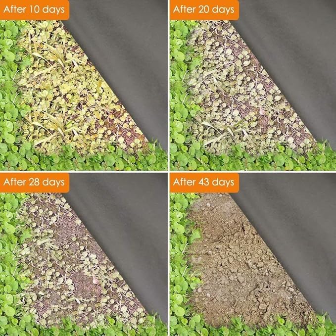 Agfabric Weed Barrier Landscape Fabric WB30-3x50ft Heavy Non-Woven Ground Cover for Gardening Mat and Raised Bed Eco-Friendly and Weed Control