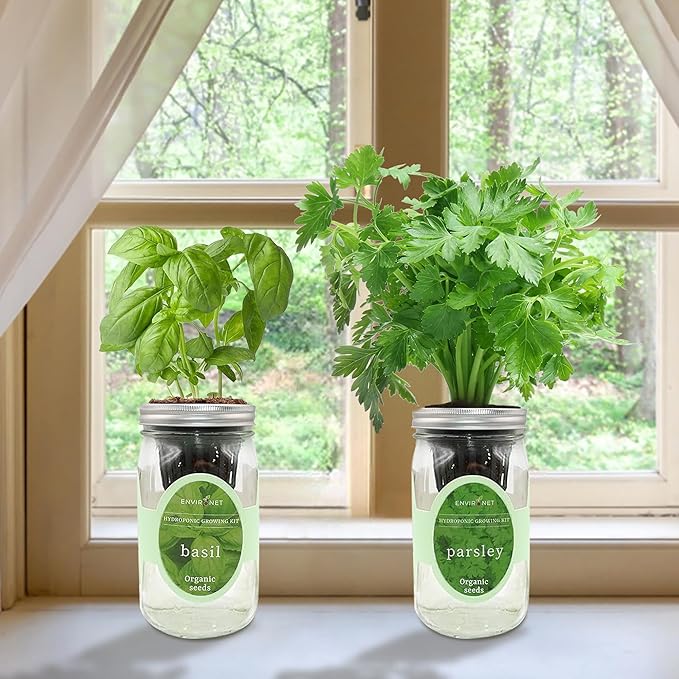 2-Pack Hydroponic Mason Jar Herb Garden Kit Indoor Herb Garden Self-Watering Starter Kit (Basil Parsley)