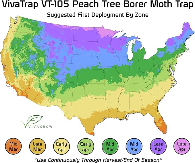 VivaTrap VT-105 Peach Tree Borer + Clearwing Moth Trap &amp Lure (2 Pack 8 Week)