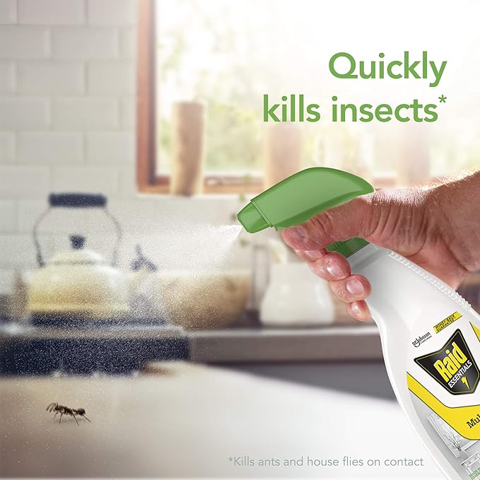 Raid Essentials Multi-Insect Killer Spray Bottle Child &amp Pet Safe for Indoor Use 12 oz (Pack of 3)