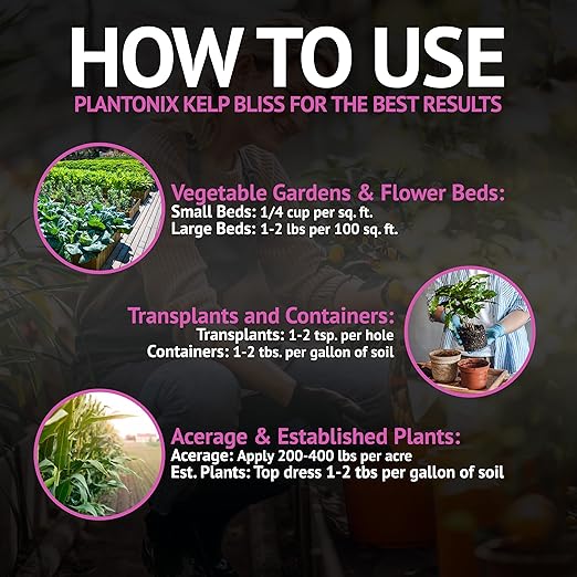 Worm Bliss (1 Gallon) + Kelp Bliss (5lbs) - Organic Worm Castings for Plants &amp Kelp Meal Organic Fertilizer - Earthworm Castings Fertilizer - 100% Natural Plant Food Rich in Vitamins &amp Nutrien