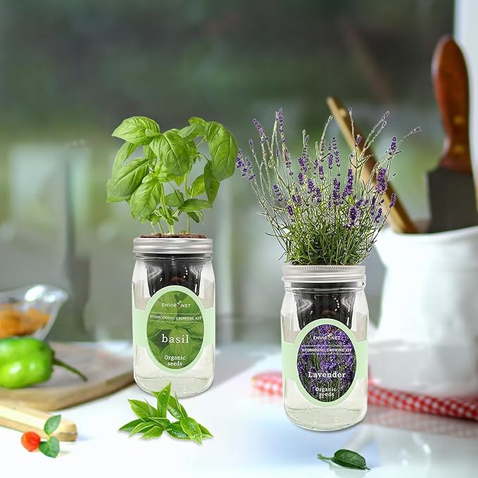 2-Pack Hydroponic Mason Jar Herb Garden Kit Indoor Herb Garden Self-Watering Starter Kit (BasilLavender)