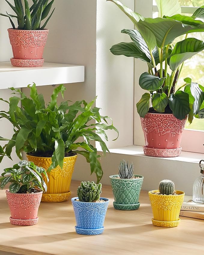Succulent Ceramic Pots 3.8 Inch Small Plant Pots with Drainage Hole &amp Saucer Flower Planter Pot for House Plants Cacti Home Decor Set of 4 Assorted Colors
