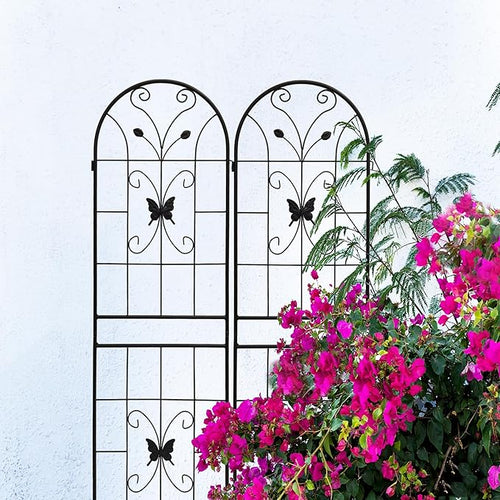 2 Pack Metal Garden Trellis 71 High x 19.7 Wide Rustproof Outdoor Plant Support Black Powder Coated Iron Trellis for Vines Vegetables &amp Flowers