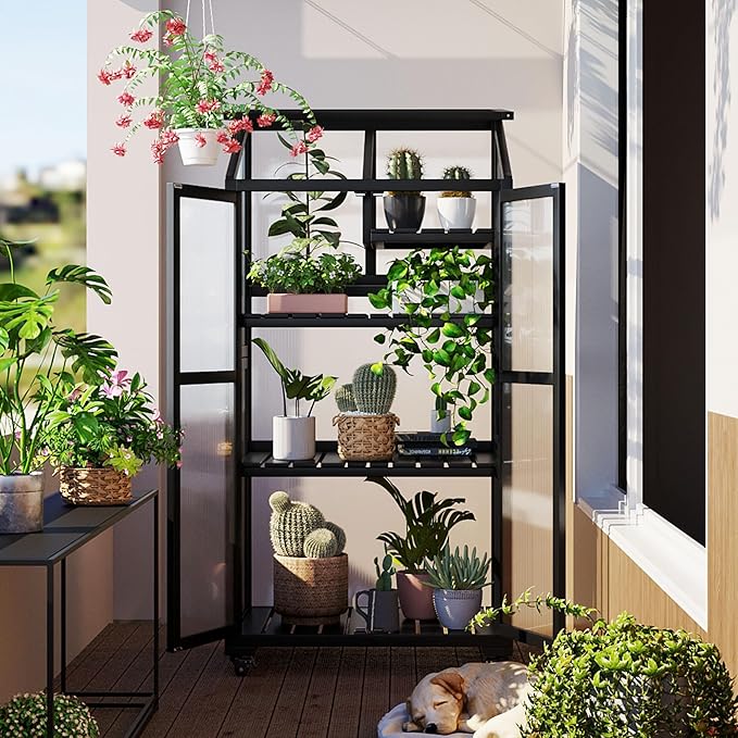Mini 4-Tier Greenhouse with Locking Wheels 62 Inch Height Portable Wooden Green House Cold Frame with Adjustable Shelves and Vent Small Garden House for Outdoor Indoor Black