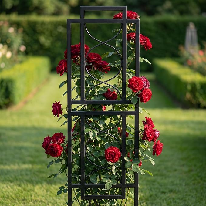 2 Pack 31.5'' Hx8'' W Black Metal Chic Garden Trellis for Climbing Plants - Outdoor Decorative Metal Flower Trellis - Black