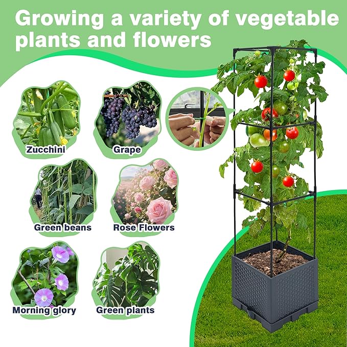 2 Pack Raised Garden Bed Planter Box with Trellis 44 Self Watering Tomato Planter Box for Climbing Vegetable Flowers and Plants Tomato Pot for Indoor Outdoor Patio Garden Planter Use