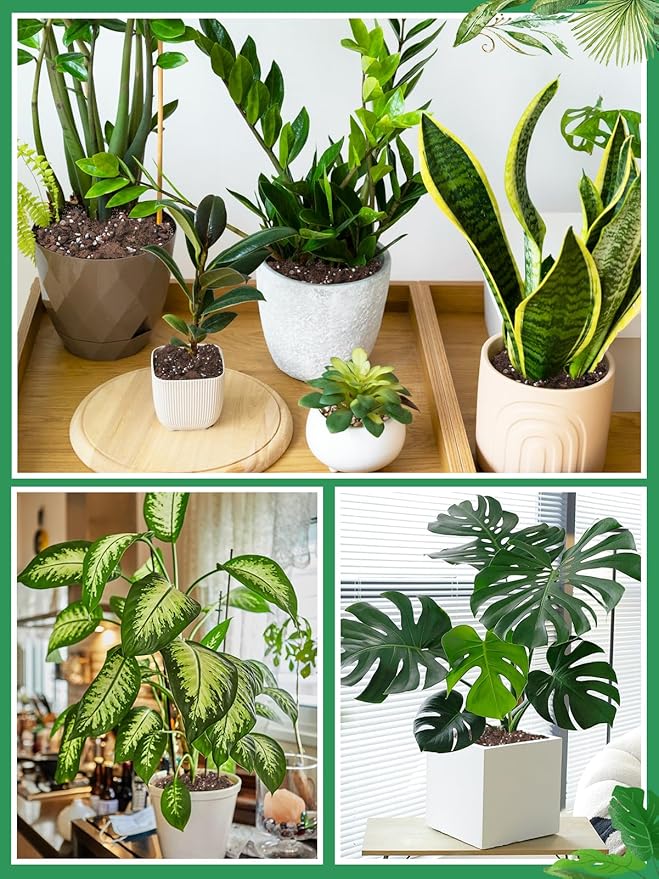 6.4QT Monstera Soil Potting Mix - Natural Organic Tropical Plant Soil for Improving Growth Rate Sustainable Houseplants Growing Media for Indoor Bonsai Succulents Moisture Retention Drainageq
