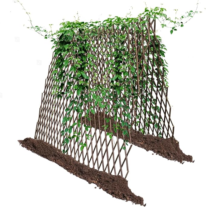Nature Willow Trellis Expandable Plant Support Plant Climbing Lattices Trellis Willow Expandable Trellis Fence for Climbing Plants Support 36x92 InchDouble Panel (4)