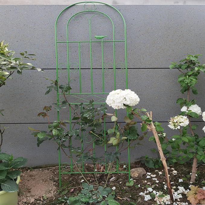 Garden Iron Rose Fence Gardening Post Rose Vine Ivy Clematis Gardening Post Easy to Assemble Height Adjustable Climbing Plant Garden Trellis 180cm*50cm Green