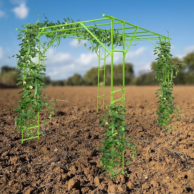 Large Grape Vine Trellis Garden Arch Trellis Large Grape Vine Support Arch Arbor Used for Outdoor Climbing of Plants (Green)
