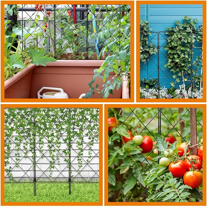 2pcs Foldable Plant Climbing Rack Trellis for Garden Tomatoes Cages Plant Stake Support Suitable for Indoor and Outdoor Climbing Gardening Tool