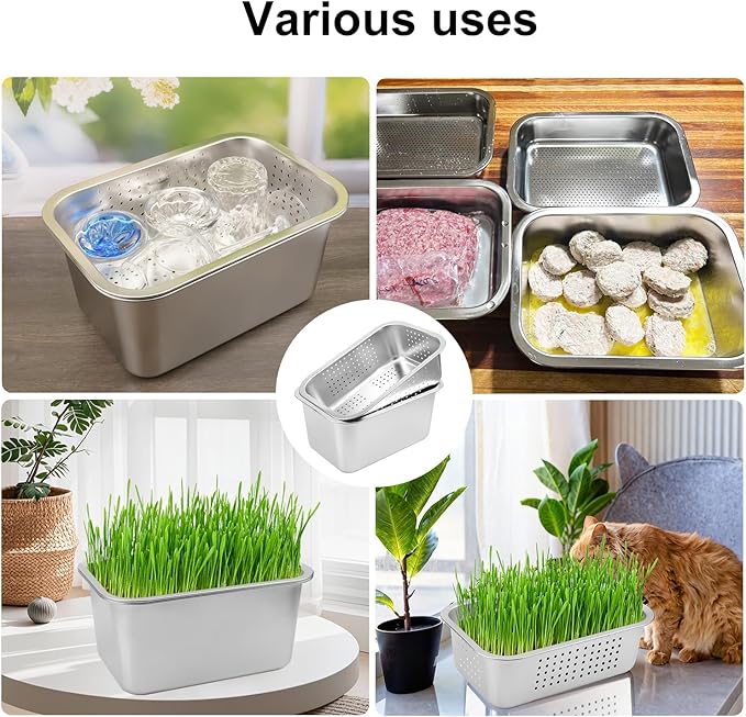 2 Set (4 Pack) Stainless Steel Sprouting Tray 13 x 9 inches Stainless Steel Germination Trays for Indoor Microgreens Broccoli Sprouts &amp Wheatgrass