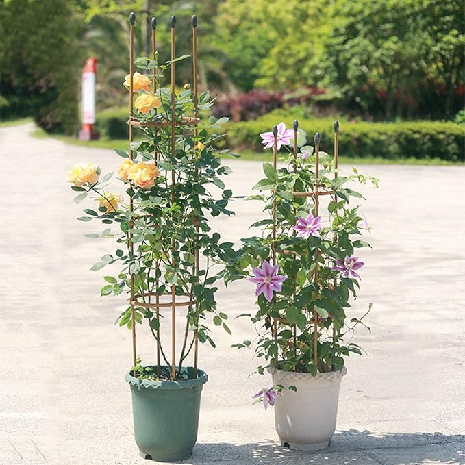 Trellis Climbing Plants 1 PC Thick Plastic-Coated Steel Plant Support Multifunctional Anti-Rust Outdoor Trellis Garden Flower Screen Cucumber Ivy Rose Grape Pea B Lackberry Vine W15*H90CM