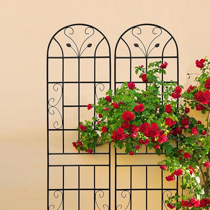 2 Pack Large Garden Trellis Heavy Duty Rustproof Iron Plant Trellis for Potted Plant Support Metal Climbing Rose Trellis Vine Vegetable CucumberBlack-86.7 H x 19.7 W