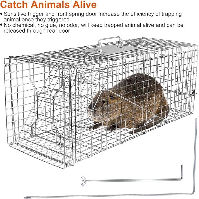 31 Humane Live Animal Cage Trap Heavy Duty Folding Cat Trap for Stray Cats Raccoons Squirrels Skunks Groundhogs Moles Opossums Rabbits and More – Catch and Release