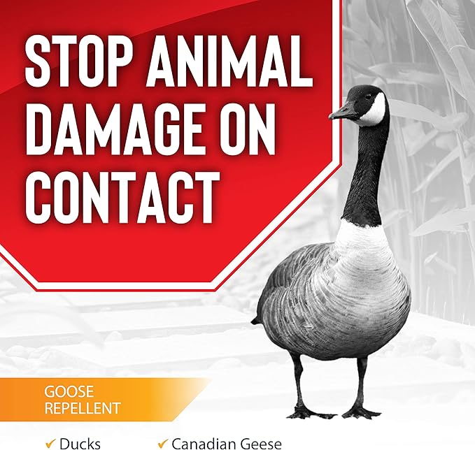 Goose Stopper Liquid Animal Stopper Repellent All Natural Effective All Year Round Safe for People and Pets No Harsh Chemicals Ready to Use Goose Repellent - 1 Gallon Concentrate