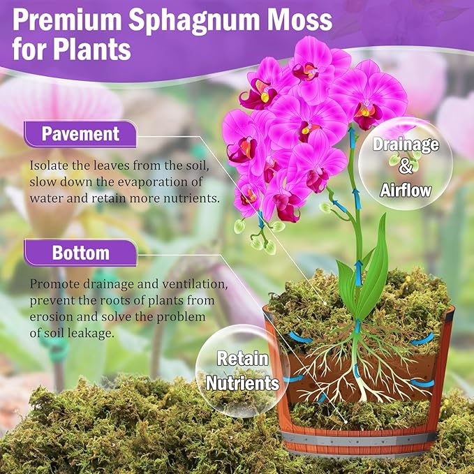 Riare 3.3LBS Premium Sphagnum Moss for Plants- 60QT Natural Dried Plant Moss for Potted Plants Orchid Moss for Repotting Soft Green Decorative Moss for Succulents Reptiles &amp DIY Crafts