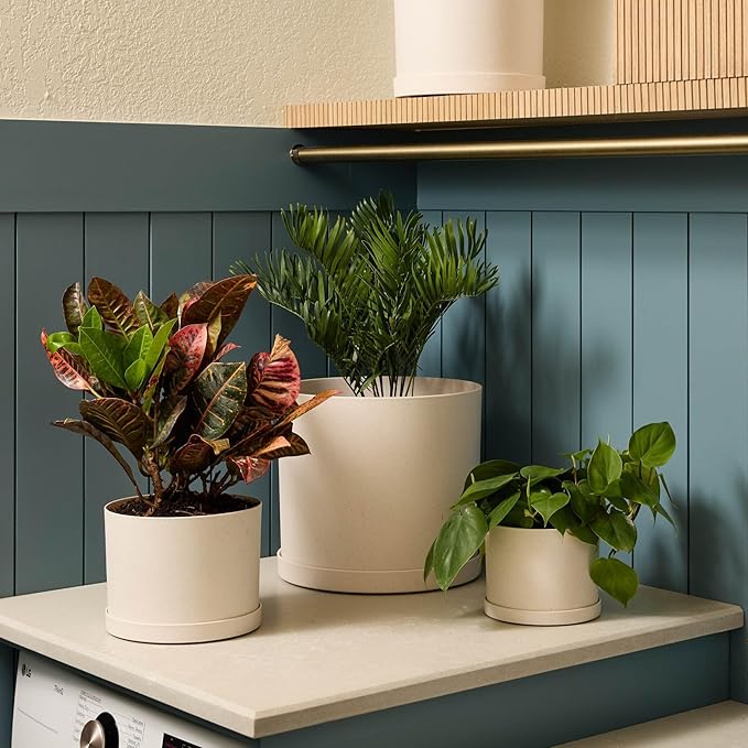 Bloem Mathers 10 Vanilla Bean Round Modern Resin Garden Planter Pot with Drainage Holes and Removable Saucer Tray Included