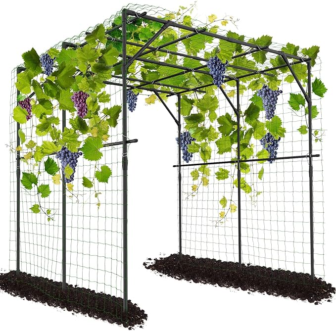 DoCred Large Garden Arch Trellis for Climbing Plants 79'' H x 79'' L x 79'' W Outdoor Grape Vine Trellis Arch Arbor Gazebo Grape Trellis for Climbing Plants Courtyard and Garden Decoration Black